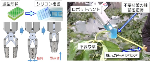 図5 開発したロボットハンド