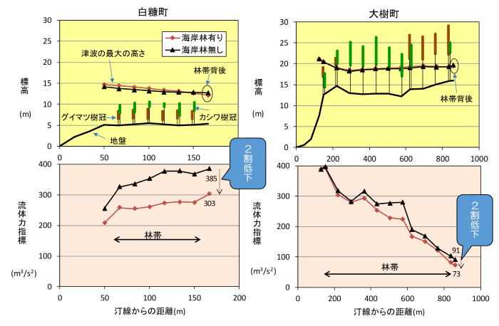 図1 海岸防災林付近での津波の最大高さ(上段)および最大の流体力指標(下段)