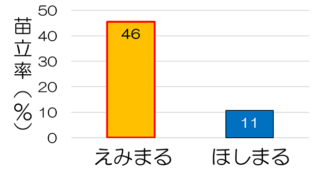「えみまる」と「ほしまる」の苗立性