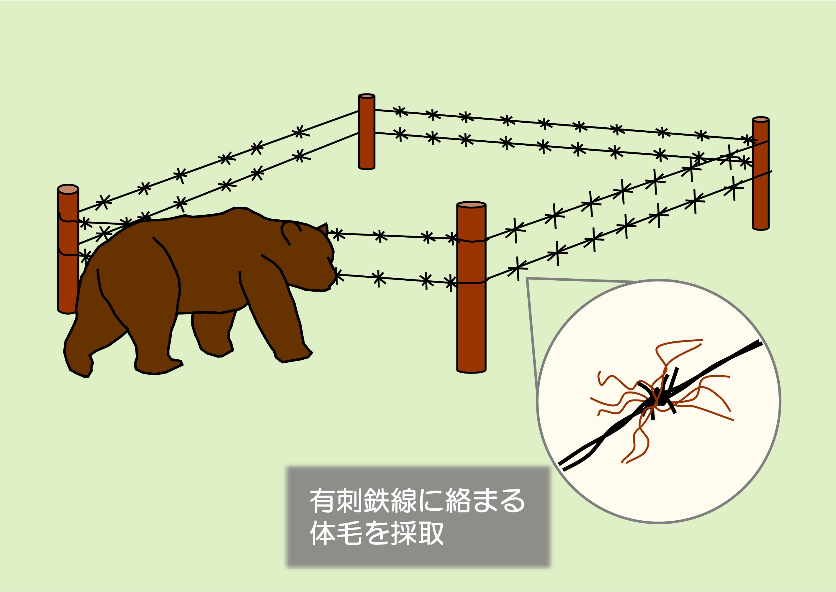 図1 ヘア・トラップの構造