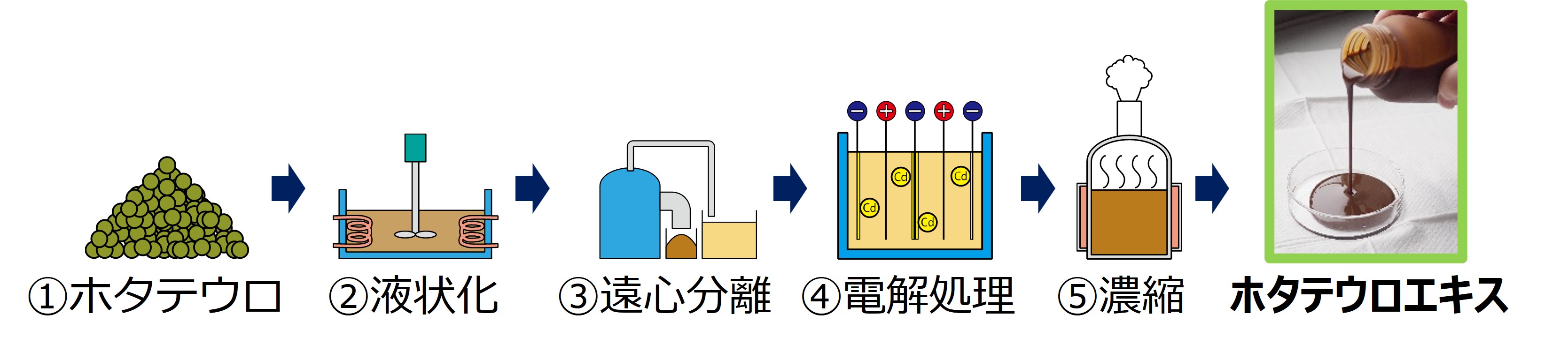 図7 ホタテウロエキスの製造フロー試作したウロエキスで飼育試験を行ったところ、ハマチ、マダイ、クロソイ、マツカワなどの魚種では、エサに1~2%添加するだけで、食べ具合だけでなく、魚の成長も良くなり、魚を早く育てることができました。