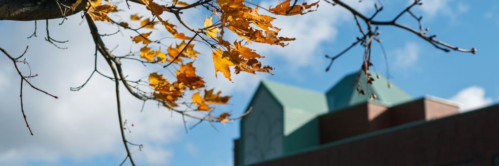 稲の収穫が進行中です