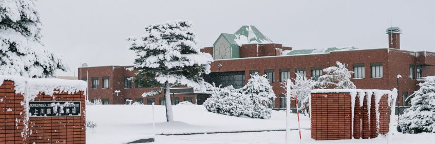 雪の日が増えてきました