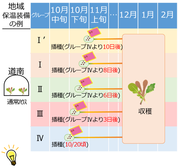 ベビーリーフ_作型