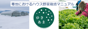 寒地ハウス野菜
