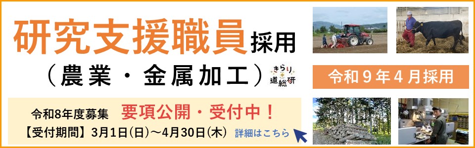 令和8年3月研究支援職員募集