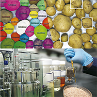 地域課題解決に向けた研究開発の様子