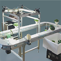 目視によるブロッコリー品質検査の自動化