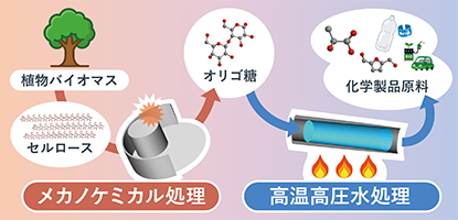 バイオマスから有価物を製造する新規グリーンプロセス