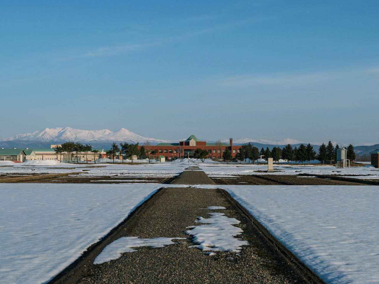 雪解けのすすむ上川農試
