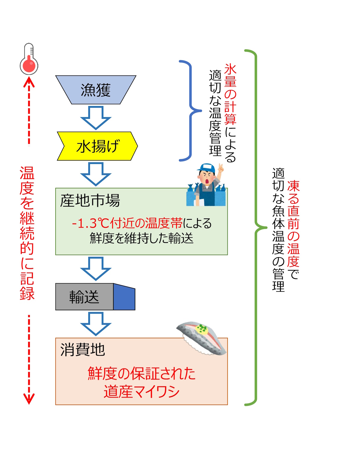 道産マイワシ流通の推奨モデル