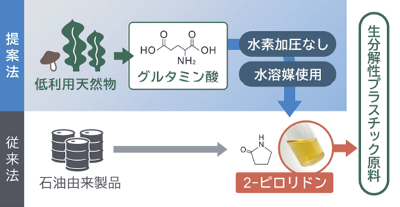 過熱水を利用したグルタミン酸由来の有用物質の合成