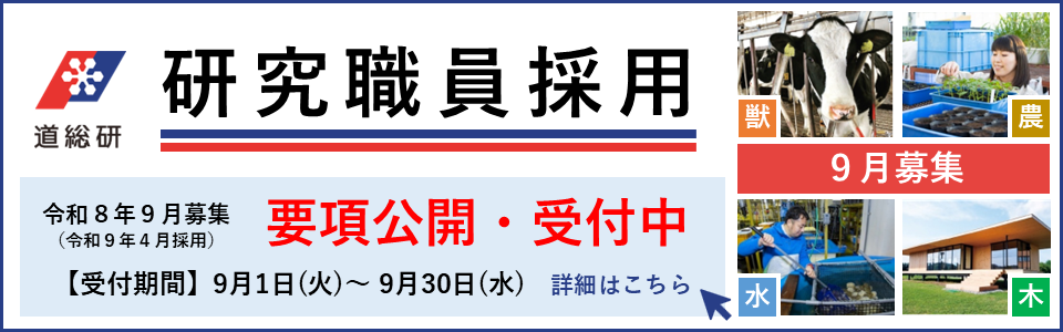 研究職員採用(令和8年9月募集)